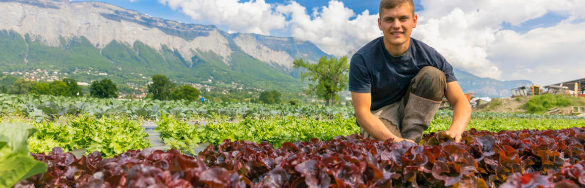 Image bannière de la formation Du foncier à l’assiette : le PAiT de la grande région Grenobloise : levier d’autonomie territoriale.