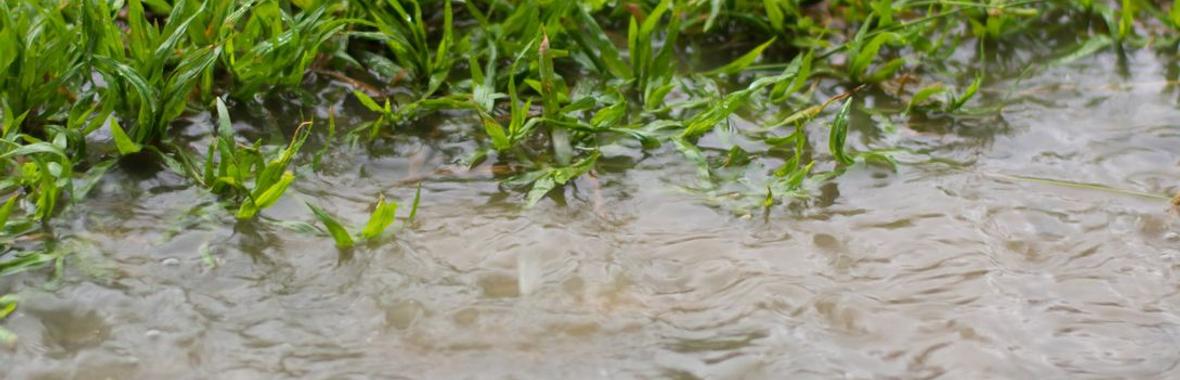 Image bannière de la formation ☔💦 Biodiversité, sols et gestion des eaux pluviales : solutions et retours d’expérience