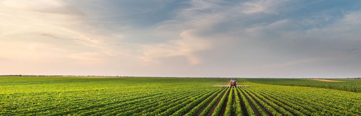 Image bannière de la formation Les périmètres de protection des espaces agricoles, naturels et périurbains (PAEN / PEAN)