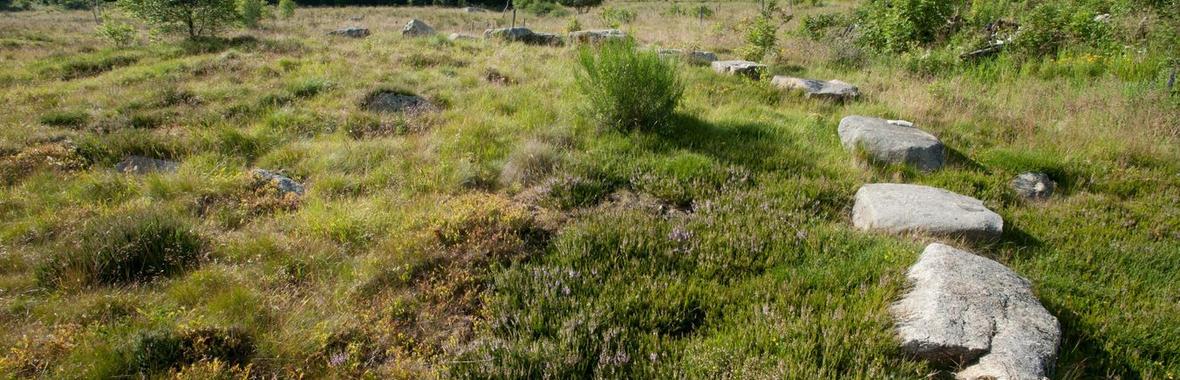 Image bannière de la formation #ANB2020 - ENS - G1. Protection de la biodiversité par la maîtrise foncière : Espaces Naturels Sensibles et autres outils mobilisables par les départements