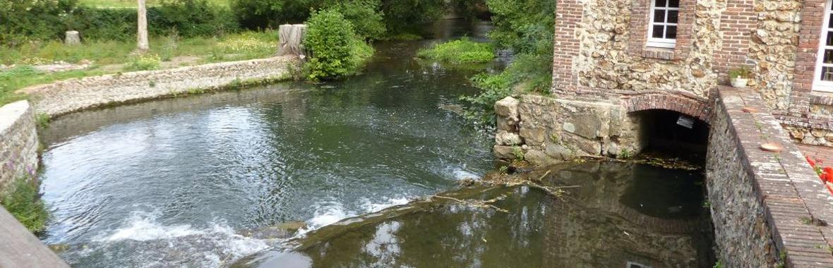 Image bannière de la formation Continuité écologique et conservation du patrimoine