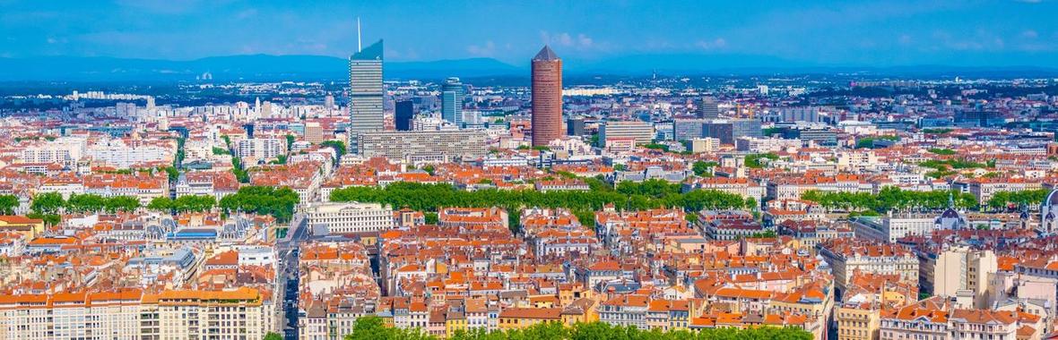 Image bannière de la formation Elaborer une Charte de l’arbre : pourquoi et comment ? REX de la Métropole du Grand Lyon