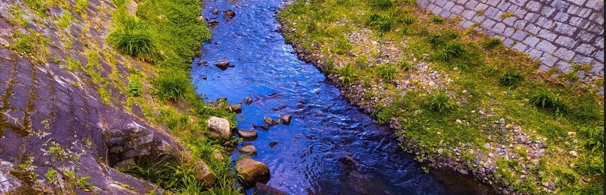 Image bannière de la formation Restauration des rivières en milieu urbain : pourquoi, comment ? 