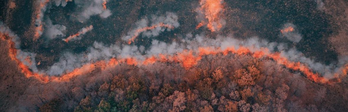 Image bannière de la formation Action et anticipation des feux de forêts et méga feux : RETEX du SDIS de l'Hérault