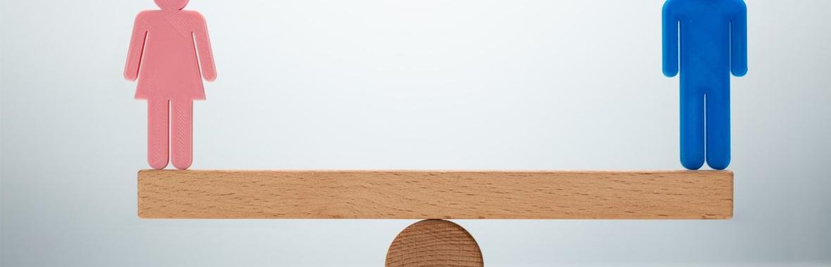 Image bannière de la formation Égalité Femme / Homme : quels outils de mise en œuvre ? 