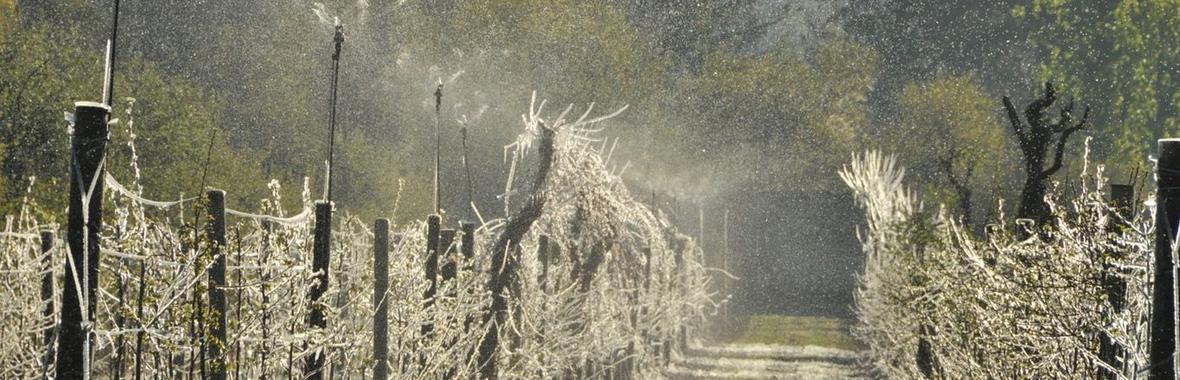 Image bannière de la formation Réutiliser les eaux usées traitées, pour quoi faire ? Retours d’expérience d’usagers de la REUT