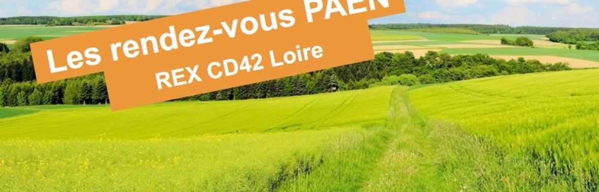 Image bannière de la formation [Les rendez-vous PAEN] REX du CD42 Loire : une implication forte du local et un pilotage assidu