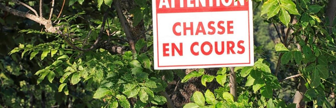 Image bannière de la formation Décryptage juridique - Chasse et sports de nature