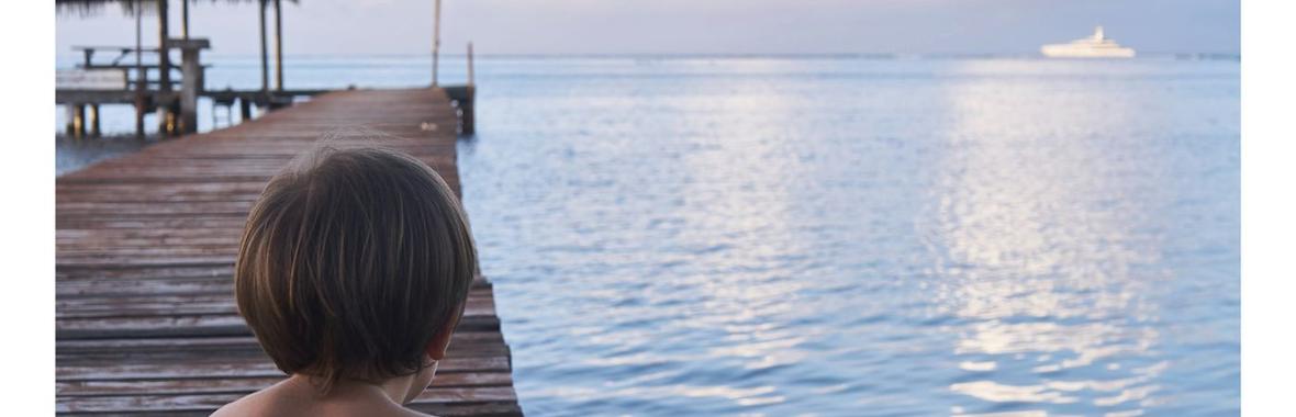 Image bannière de la formation Les violences sexuelles intrafamiliales envers les mineurs en Polynésie française
