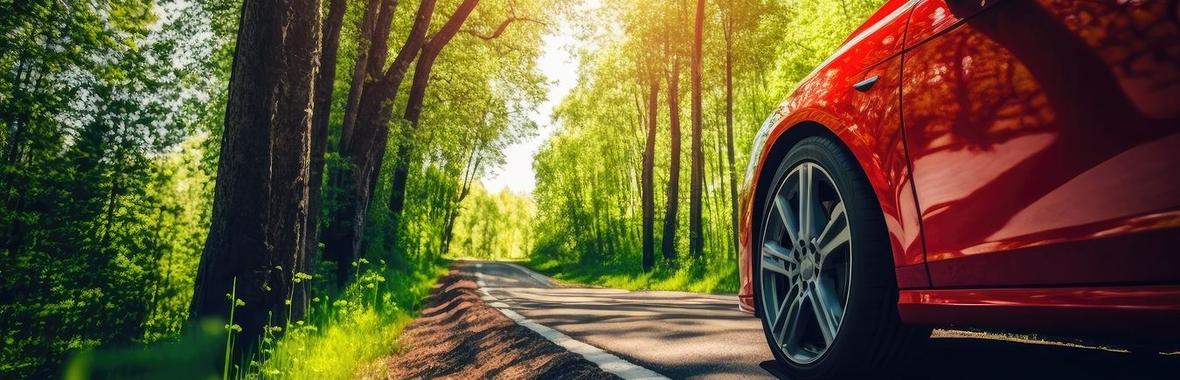 Image bannière de la formation QUERCUS : une méthode pour quantifier et justifier le nombre d’arbres à compenser dans le cadre des abattages d’arbres d’alignement 