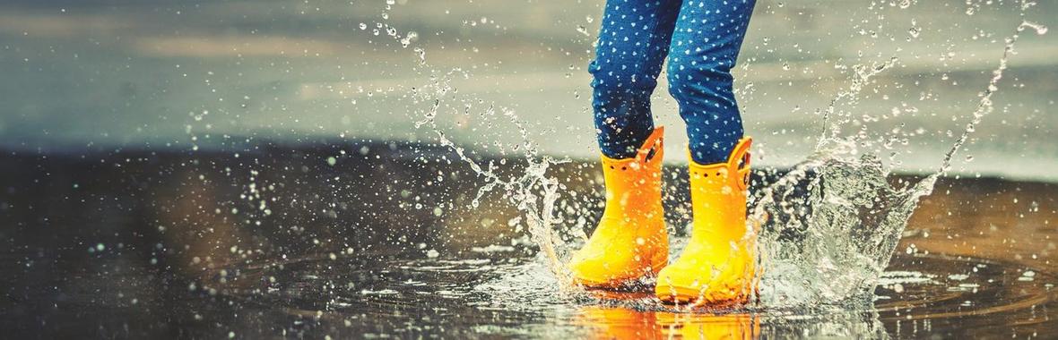 Image bannière de la formation Gestion des eaux pluviales : que peut-on apprendre de nos erreurs ?