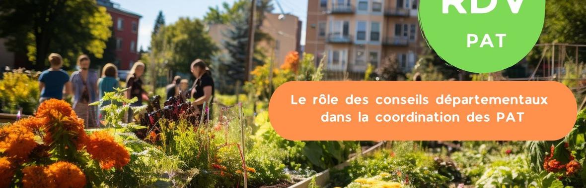 Image bannière de la formation [RDV PAT] : Quel est le rôle des conseils départementaux dans la coordination des PAT