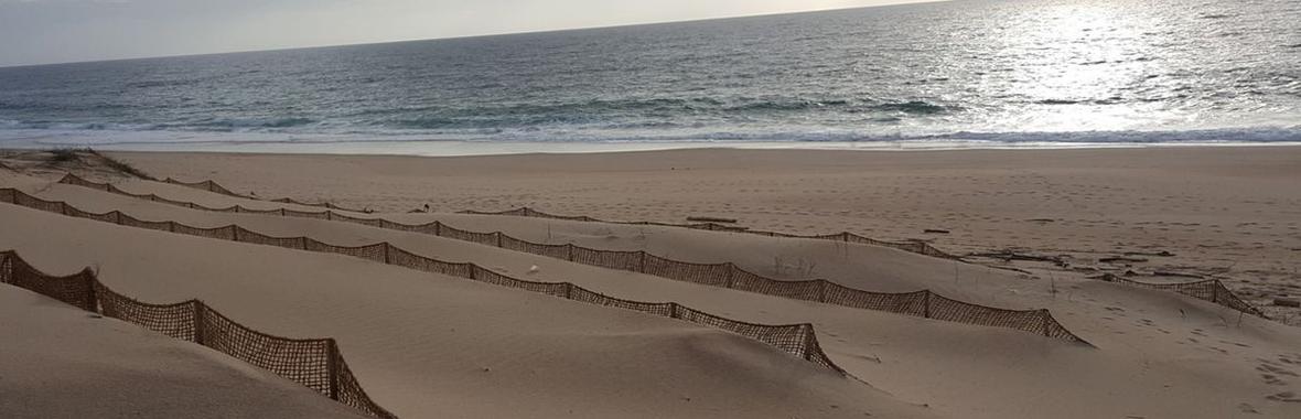 Image bannière de la formation Des outils pour appréhender et gérer les risques littoraux : le guide méthodologique et la série documentaire Litto'Risques 