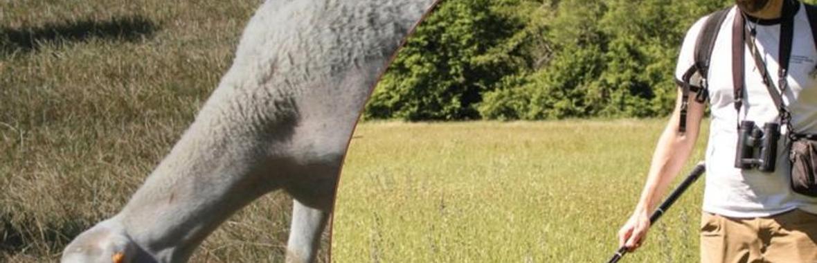 Image bannière de la formation Des outils et des méthodes pour réconcilier l’agriculture et la biodiversité : présentation du projet LIFE Biodiv'Paysanne [Episode 1] 