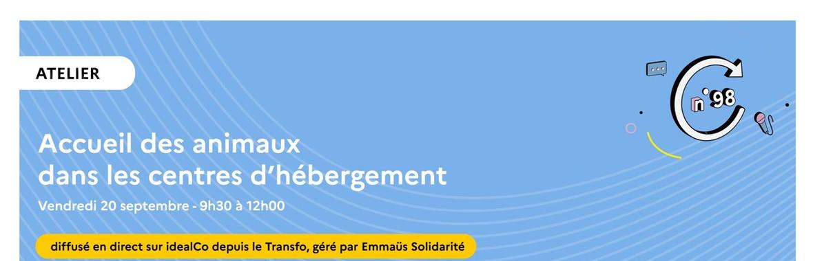 Image bannière de la formation 98e Atelier de la Dihal - [Partie 1] Penser l’accueil des animaux au sein du secteur "accueil hébergement insertion" : quels enjeux pour les structures d’hébergement ? 