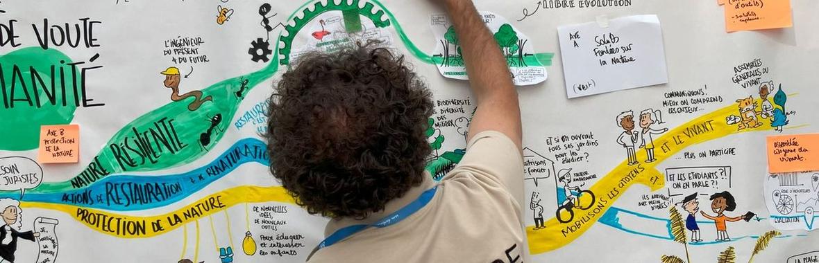 Image bannière de la formation 🖍️ Réalisations graphiques et fresque dessinée des ANB24