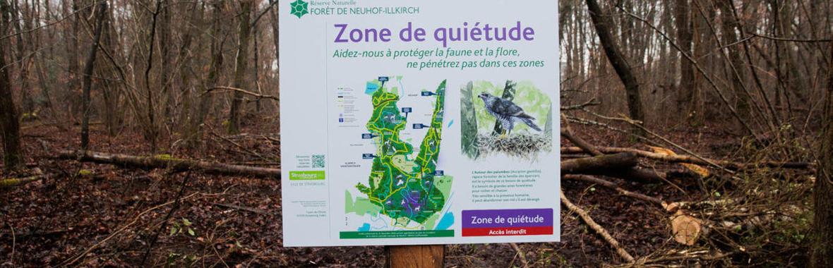 Image bannière de la formation Déminéralisation d'envergure dans la réserve de Neuhof-Illkirch 