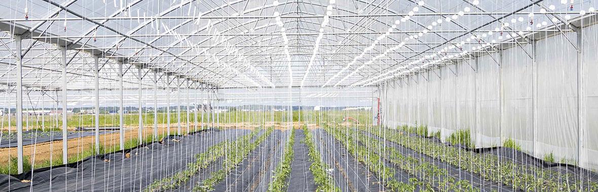 Image bannière de la formation Créer une ferme sur un foncier public à réhabiliter - les clés de la ferme de l'envol pour relever le défi! 