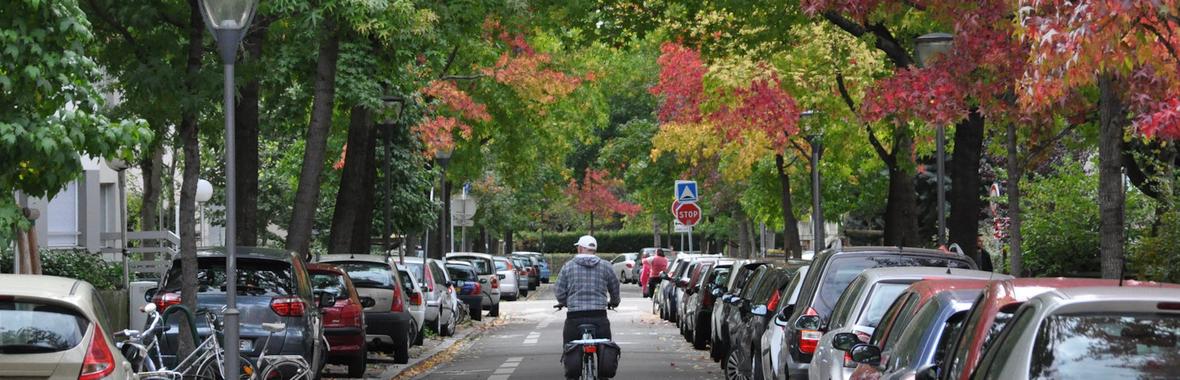 Image bannière de la formation Plan Canopée de Strasbourg : une politique publique innovante pour végétaliser la ville à grande échelle  