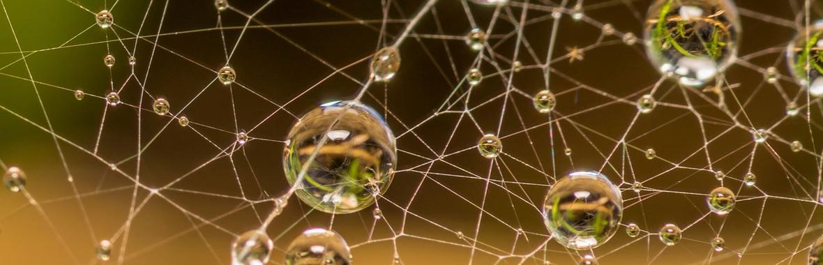 Image bannière de la formation Chaque goutte compte : comment les solutions digitales permettent de considérer toute l’eau d’un territoire 