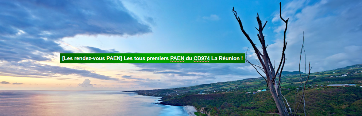 Image bannière de la formation [Les rendez-vous PAEN] Les tous premiers PAEN du CD 974 La Réunion ! 
