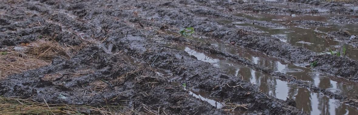 Image bannière de la formation Gestion du ruissellement : quelle articulation des compétences ?