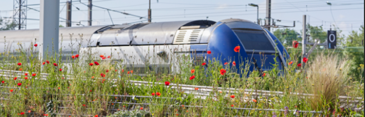 Image bannière de la formation Système Alternatif de Mobilité - de quoi parle-t-on? 