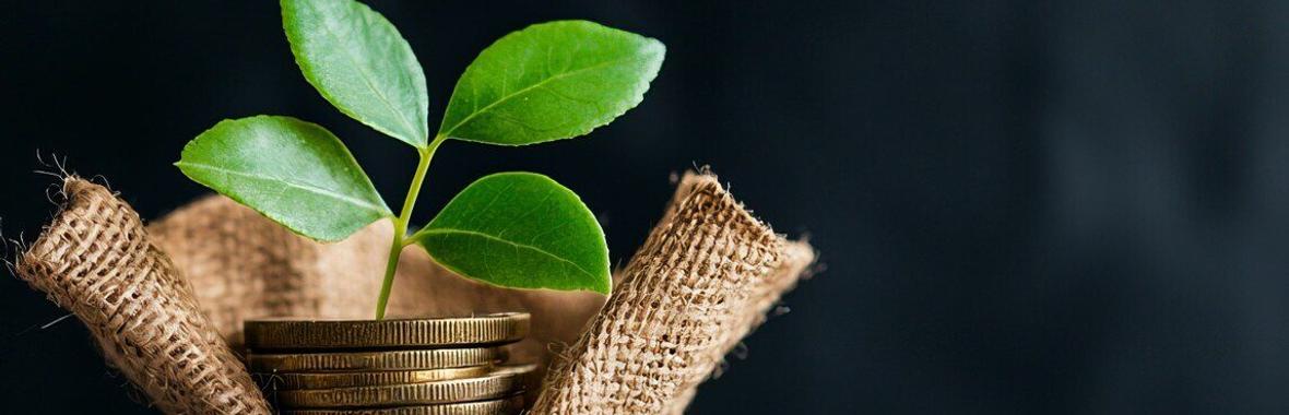 Image bannière de la formation 🌿💰Budget Vert 💰🌿échanges sur les dernières mises à jour réglementaires 