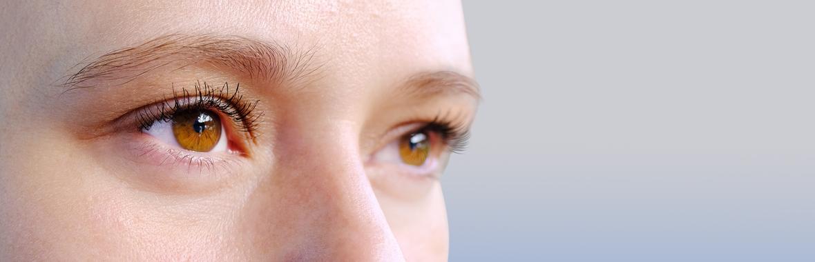 Image bannière de la formation Santé visuelle : un levier pour l’efficacité et la sécurité des agents 