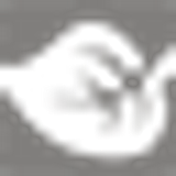 Logo TILIA