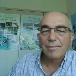 Vincent NALIN