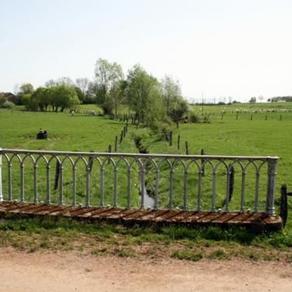 Elwis Maire