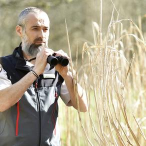 Matthieu Daudé