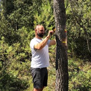 Sébastien ALLA