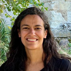 Marie-Anaïs Limet-Delmotte